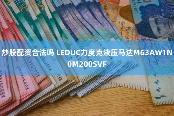 炒股配资合法吗 LEDUC力度克液压马达M63AW1N0M200SVF