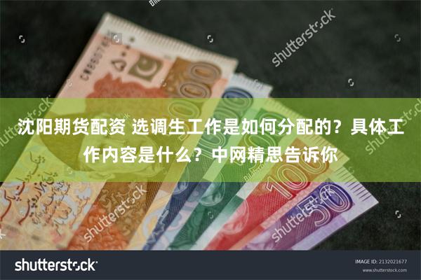 沈阳期货配资 选调生工作是如何分配的？具体工作内容是什么？中网精思告诉你