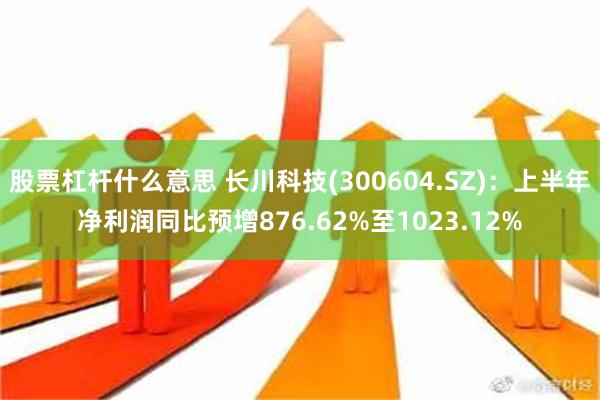 股票杠杆什么意思 长川科技(300604.SZ)：上半年净利润同比预增876.62%至1023.12%