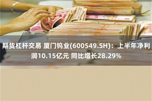 期货杠杆交易 厦门钨业(600549.SH)：上半年净利润10.15亿元 同比增长28.29%