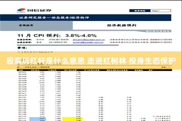 股票玩杠杆是什么意思 走进红树林 投身生态保护