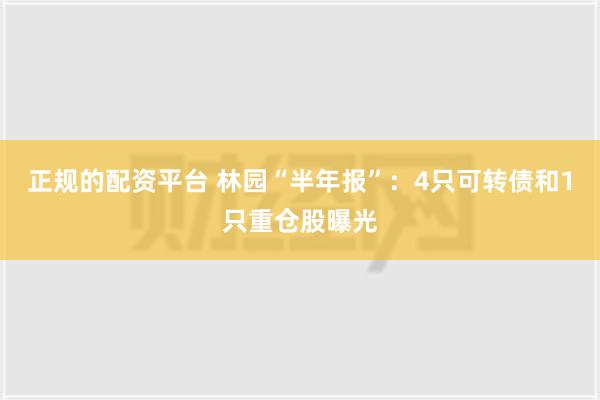 正规的配资平台 林园“半年报”：4只可转债和1只重仓股曝光