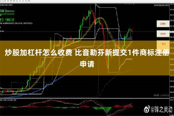 炒股加杠杆怎么收费 比音勒芬新提交1件商标注册申请