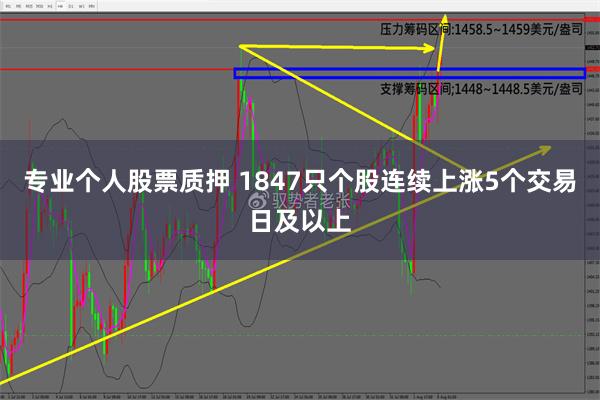 专业个人股票质押 1847只个股连续上涨5个交易日及以上