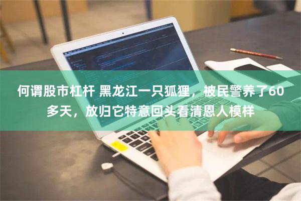 何谓股市杠杆 黑龙江一只狐狸，被民警养了60多天，放归它特意回头看清恩人模样