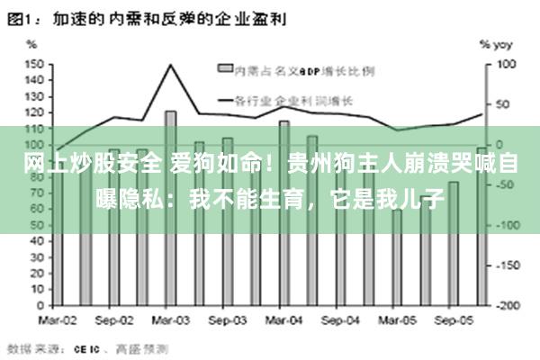 网上炒股安全 爱狗如命！贵州狗主人崩溃哭喊自曝隐私：我不能生育，它是我儿子