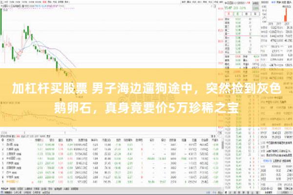 加杠杆买股票 男子海边遛狗途中，突然捡到灰色鹅卵石，真身竟要价5万珍稀之宝