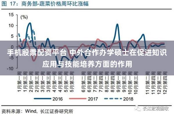 手机股票配资平台 中外合作办学硕士在促进知识应用与技能培养方面的作用