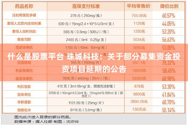 什么是股票平台 珠城科技：关于部分募集资金投资项目延期的公告